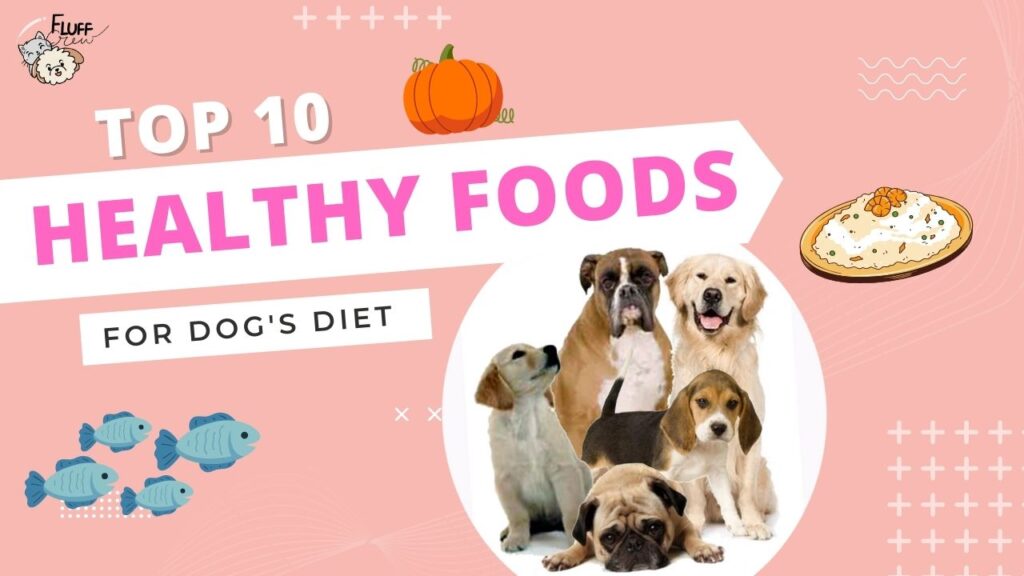 healthy foods for dogs in 2022