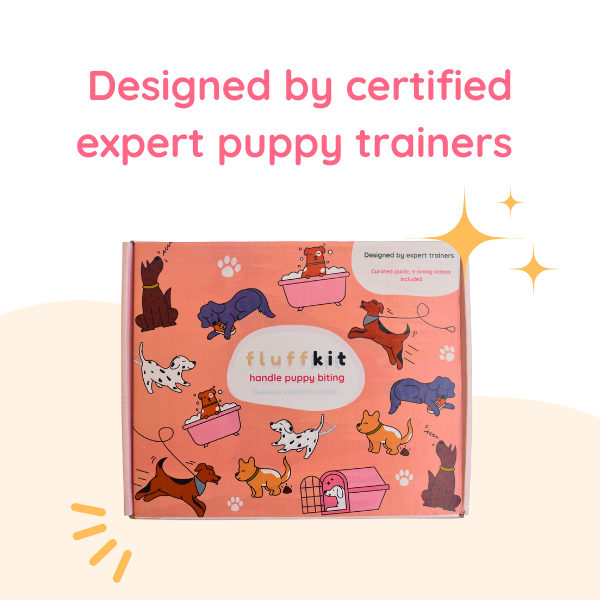 Dog training kits